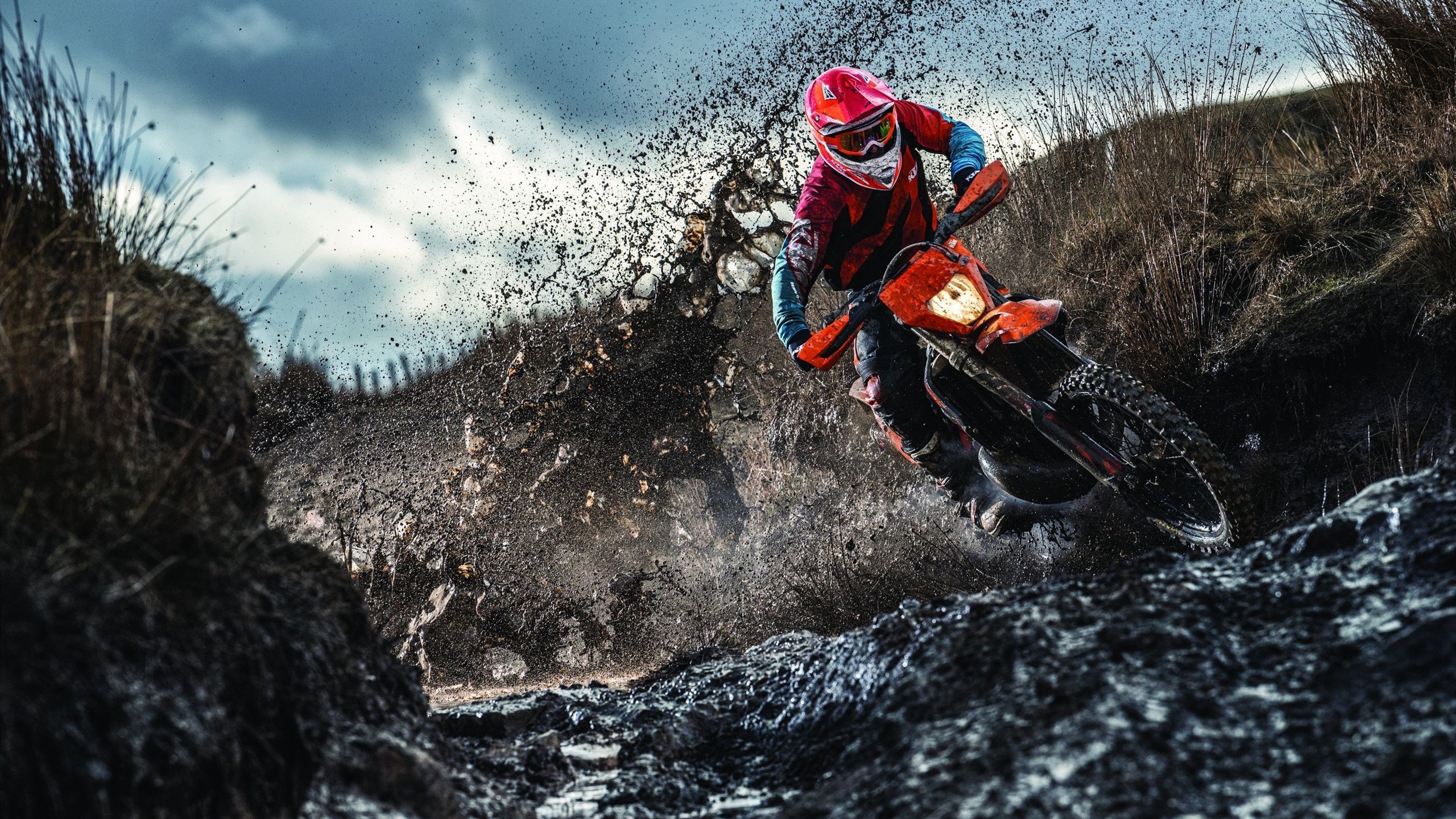 爱游戏中国-“冠军潜力股崭露头角，打造本赛季最爆款赛事”，冠军赛区