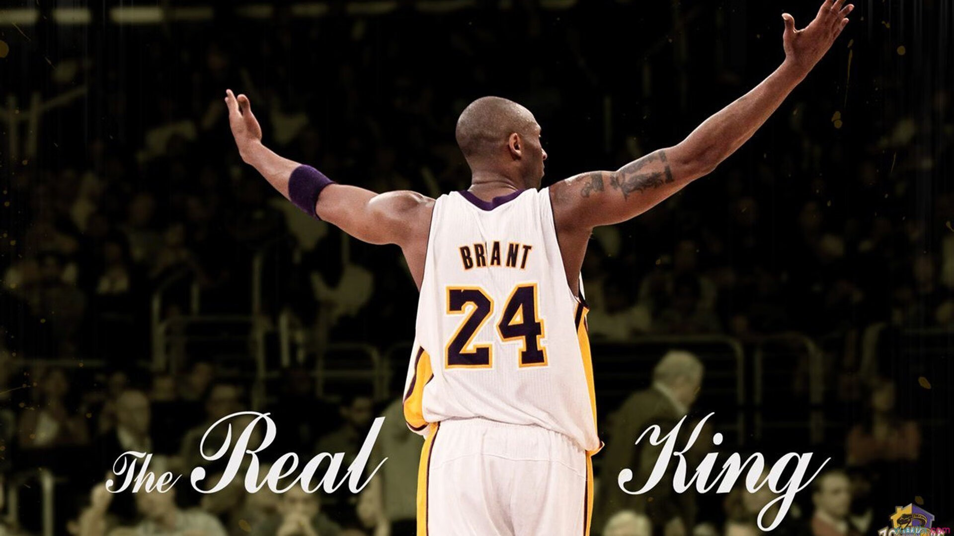 爱游戏网站-埃马纽埃尔·瓦尼奥尼成为最年轻的800米奥运冠军