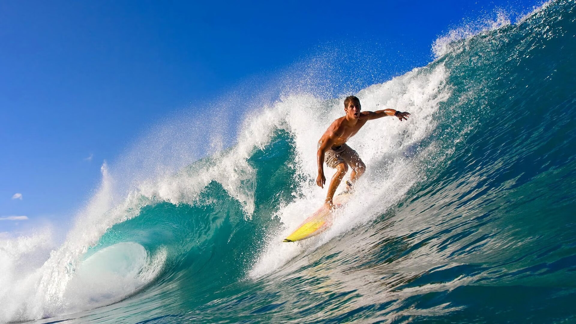 爱游戏入口-现场观众互动：投票选出“最佳亮点”，观众投票怎么算分